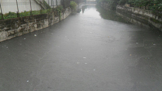 河(hé)道(dào)黑臭環境
